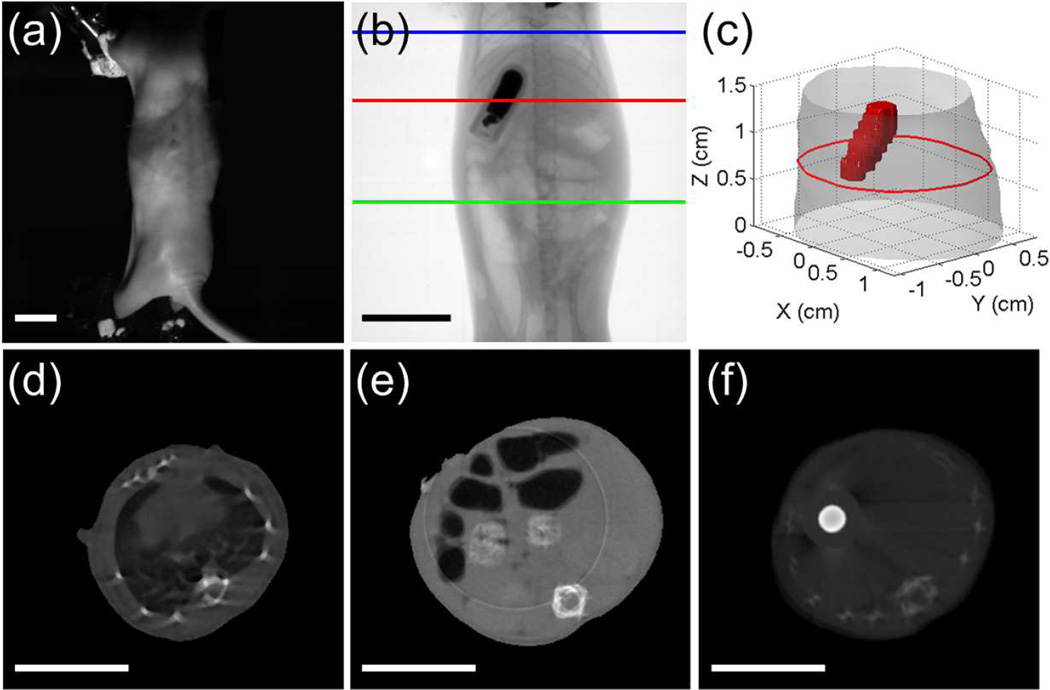 Fig. 9