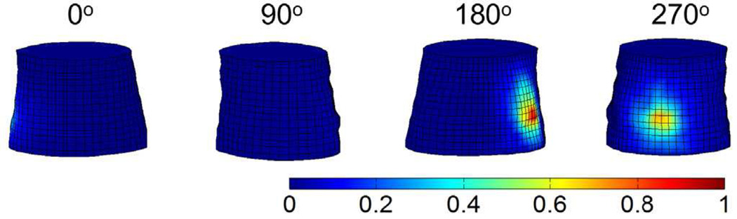 Fig. 10