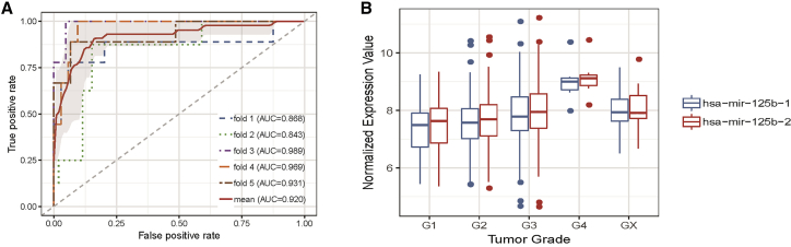 Figure 5