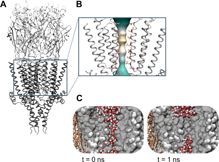 Figure 13