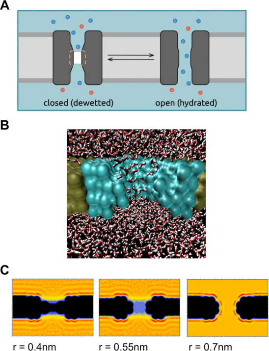 Figure 7