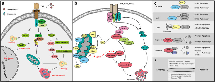 Fig. 4