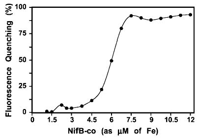 Fig. 10