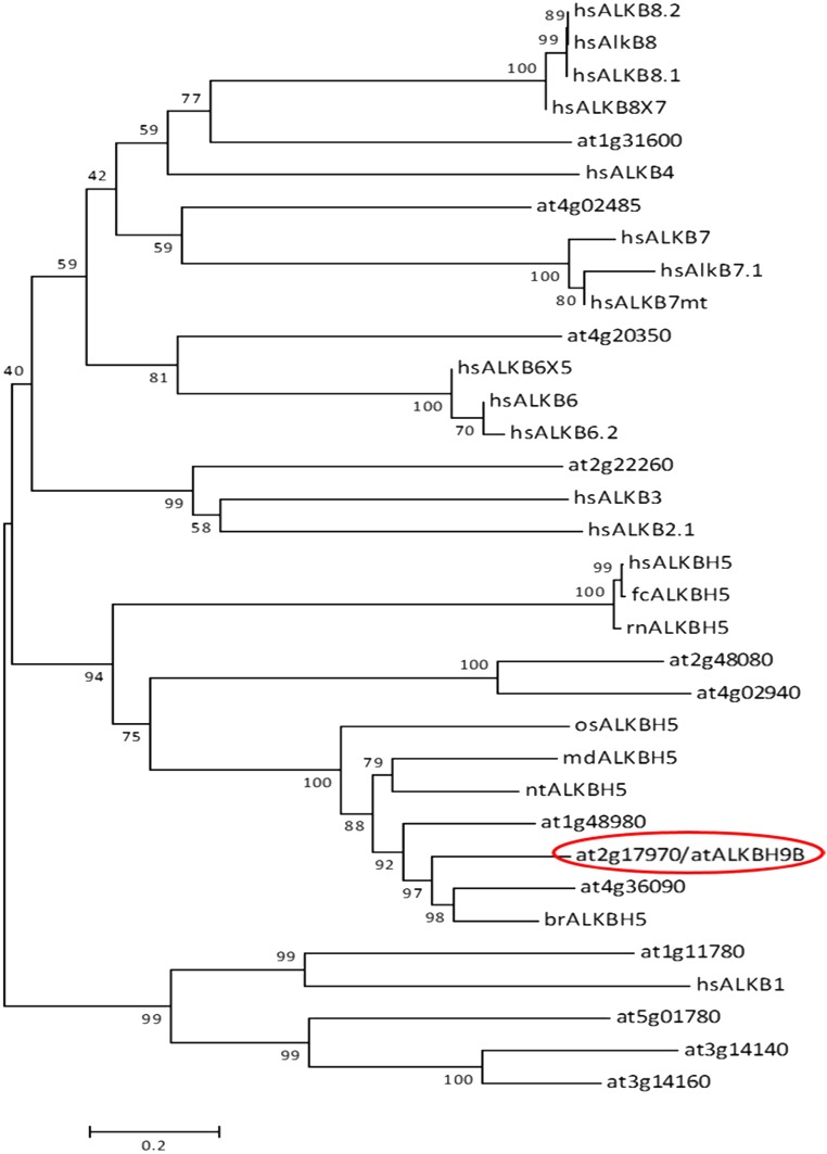 Fig. S4.