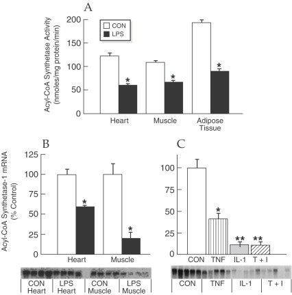 Fig. 18