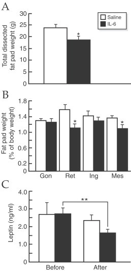 Fig. 21