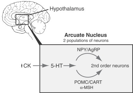 Fig. 9