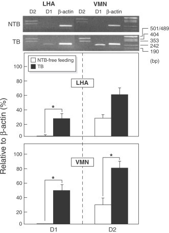 Fig. 15