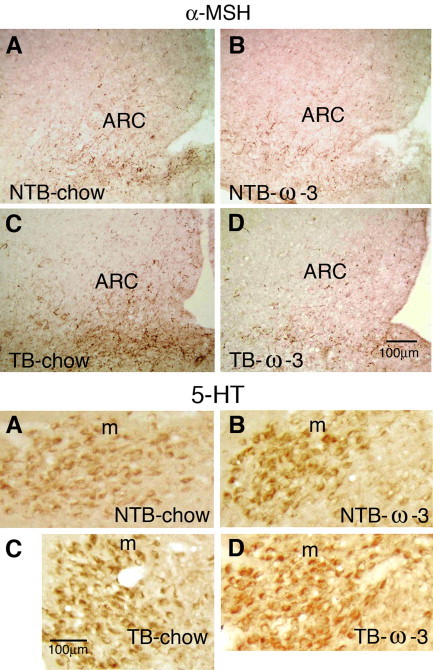 Fig. 24