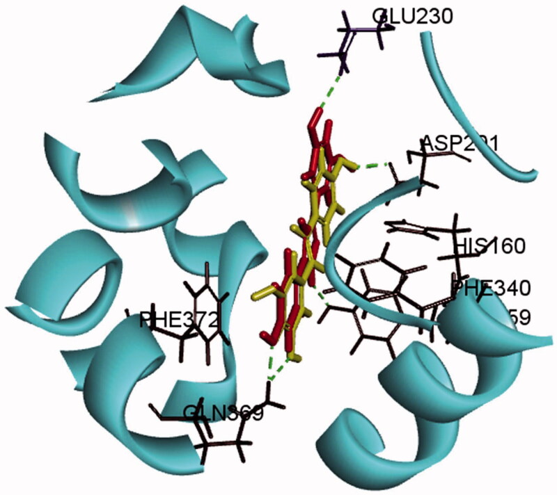 Figure 2.