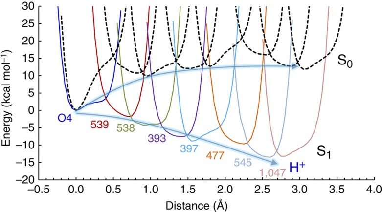 Figure 4