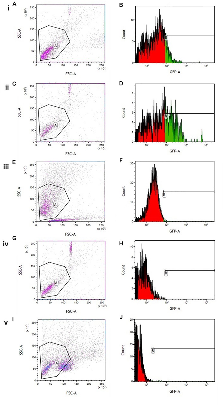 FIGURE 4