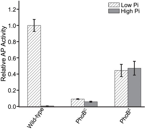 Fig. 10