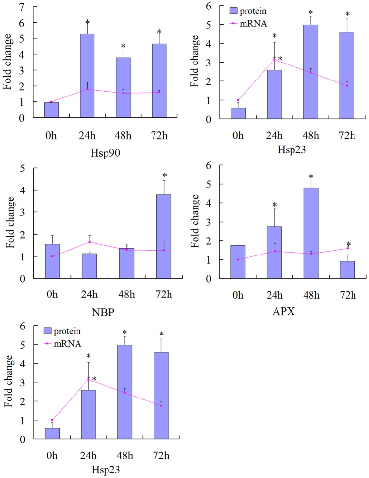 Figure 5