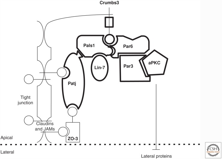 Figure 1.