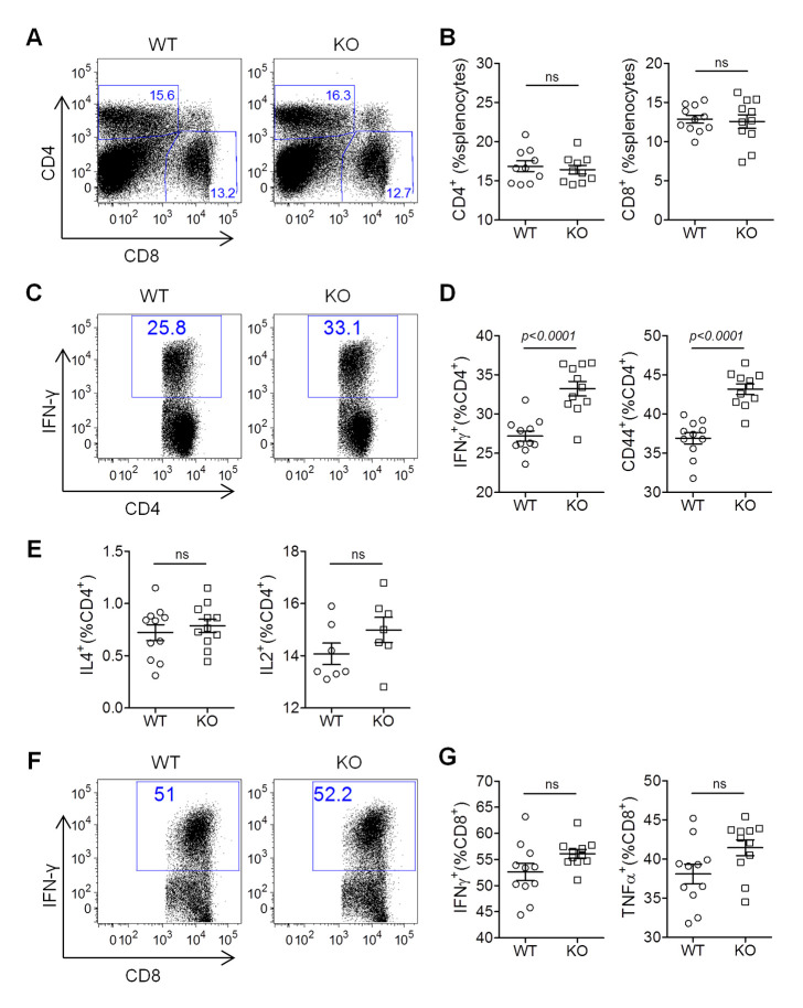 Fig 8