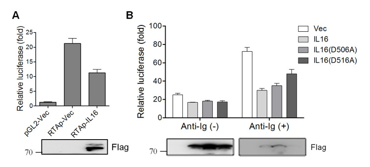 Fig 9