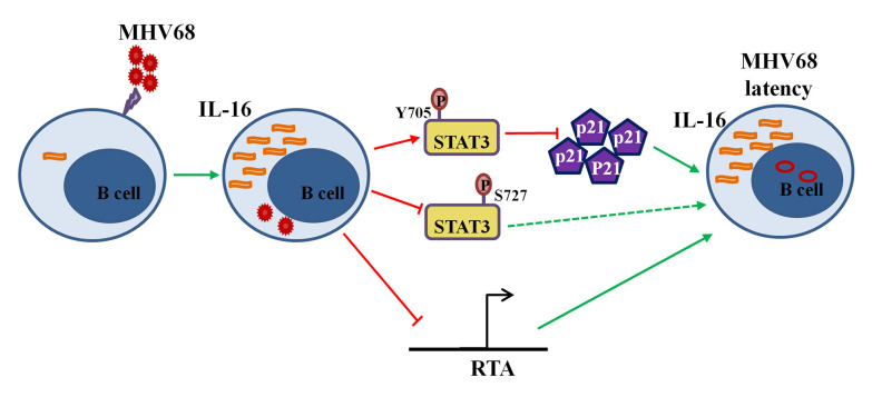 Fig 12