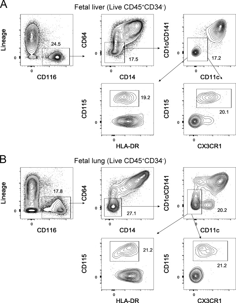 Figure 7.