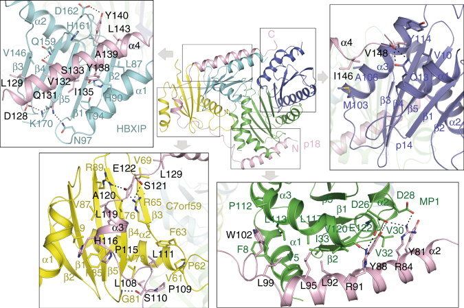 Fig. 2