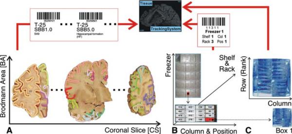 Fig. 3