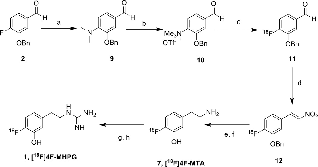 Scheme 2