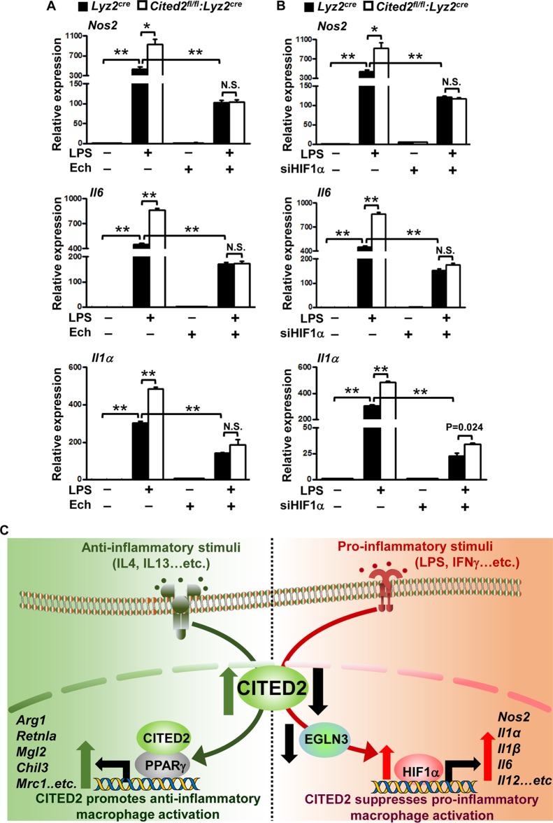 FIG 8