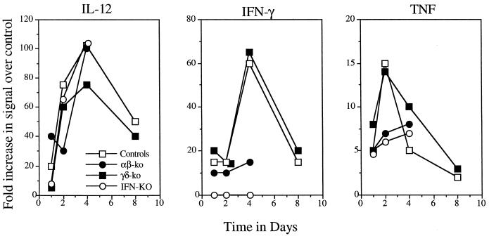 FIG. 3