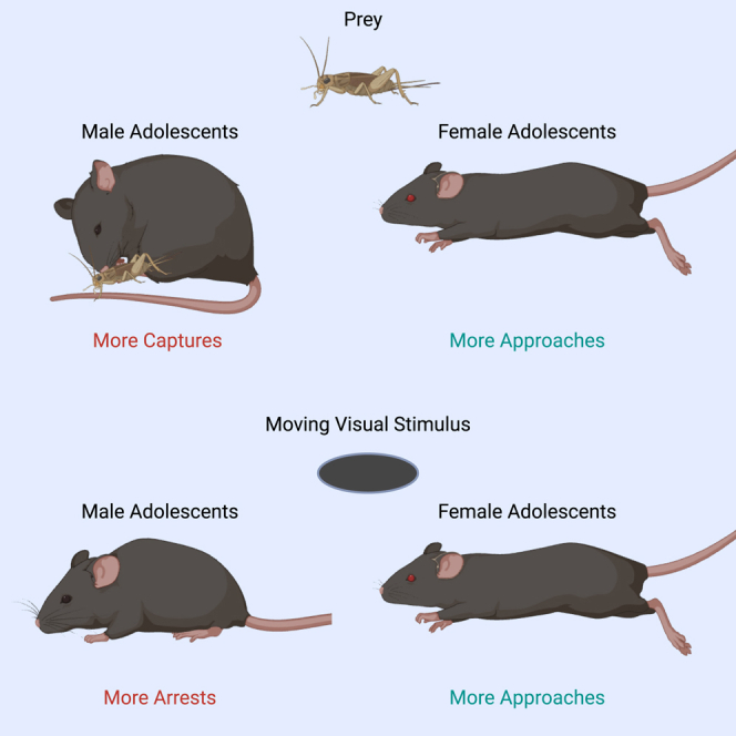 graphic file with name fx1.jpg