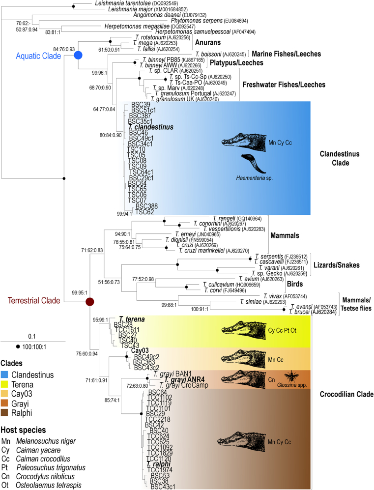 Fig. 2