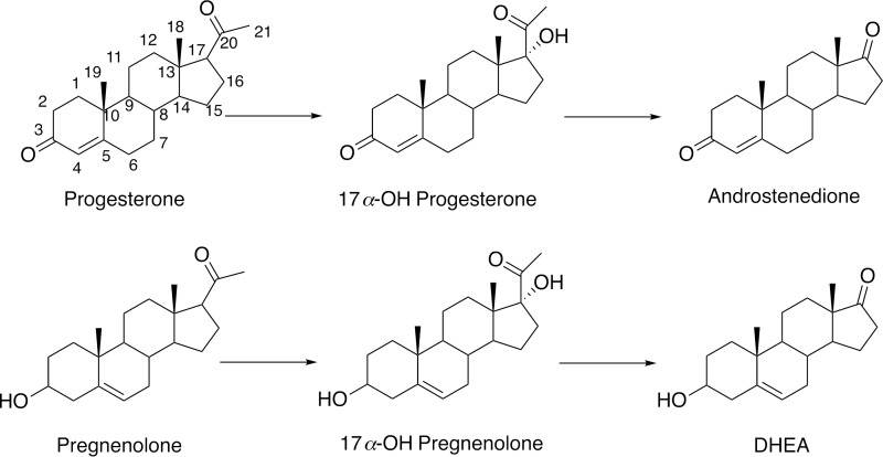 FIGURE 1.