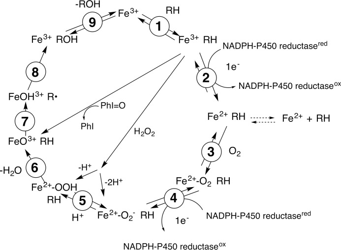 FIGURE 2.