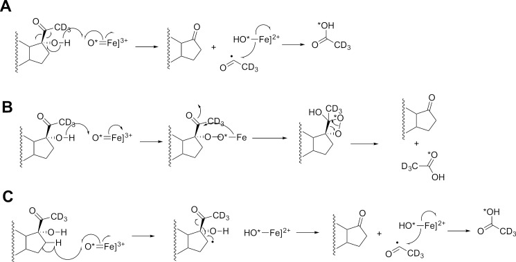 FIGURE 19.