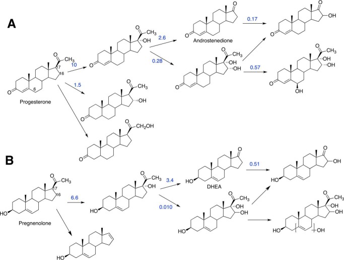 FIGURE 21.