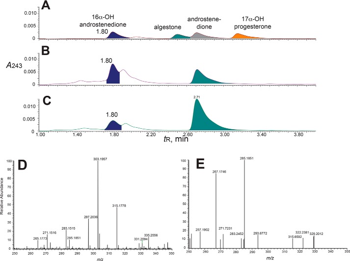 FIGURE 11.