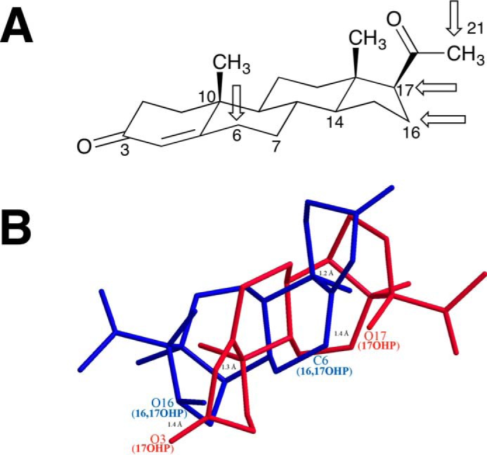 FIGURE 20.