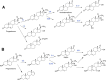 FIGURE 21.