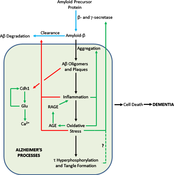 Fig.2