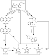 Fig. 14