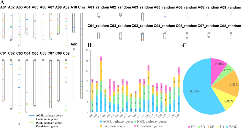 Figure 2