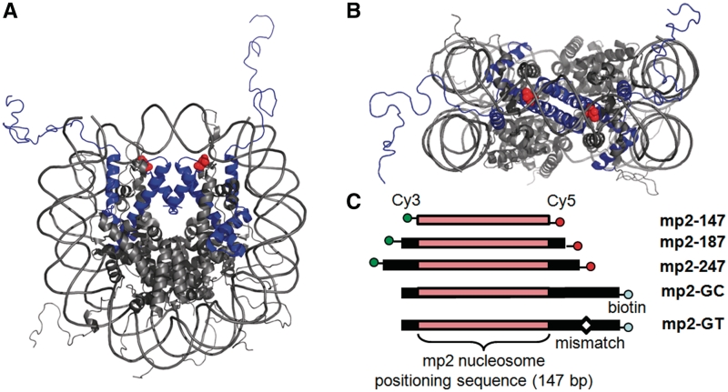 Figure 1.