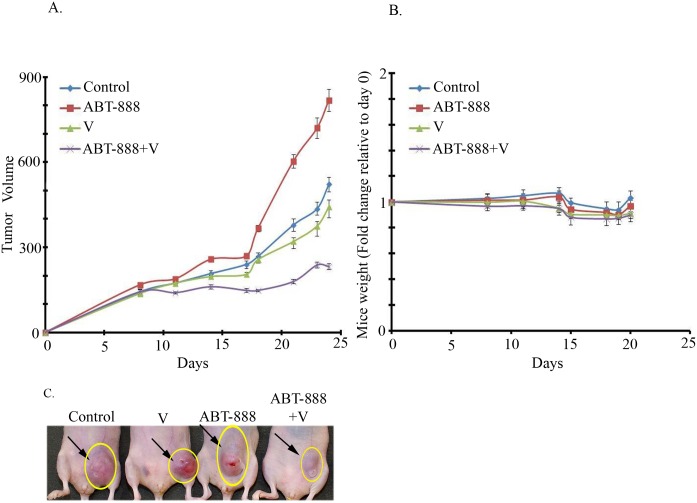 Fig 4