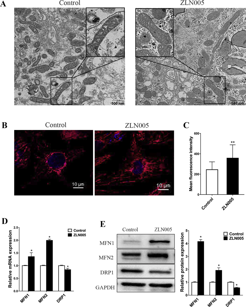 Fig. 4