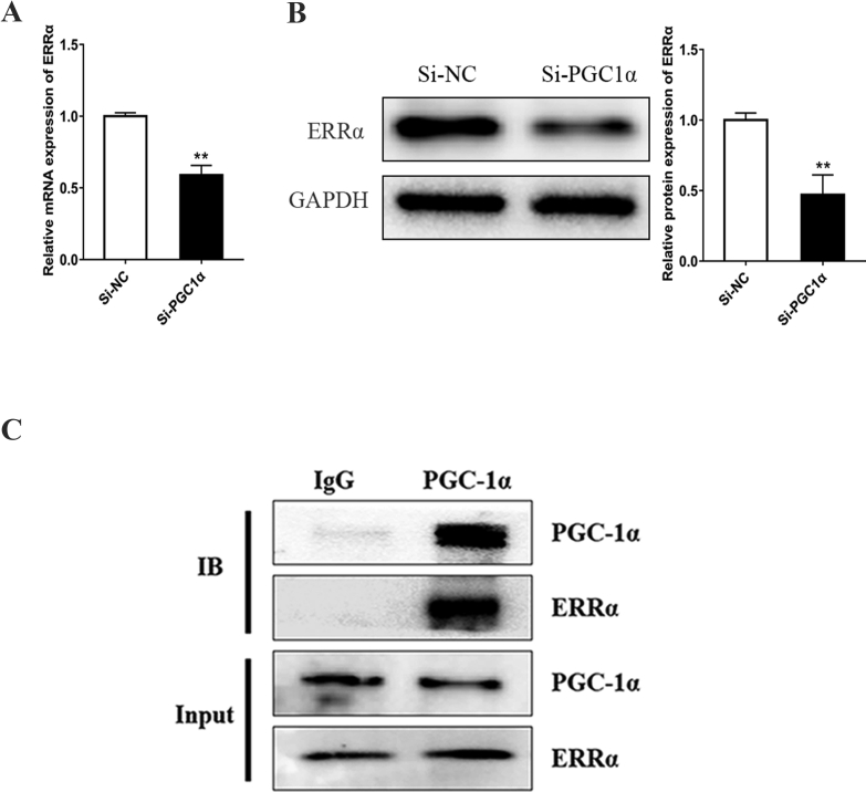 Fig. 6