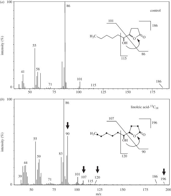 Figure 1.