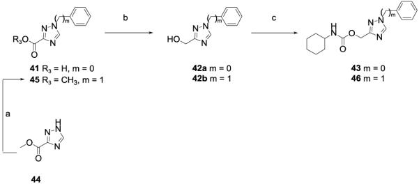 Scheme 4