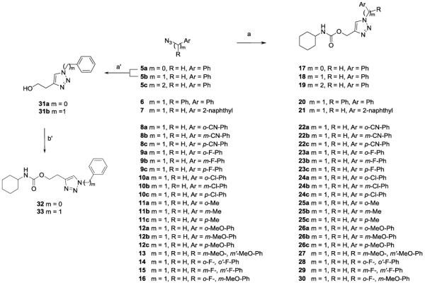 Scheme 2