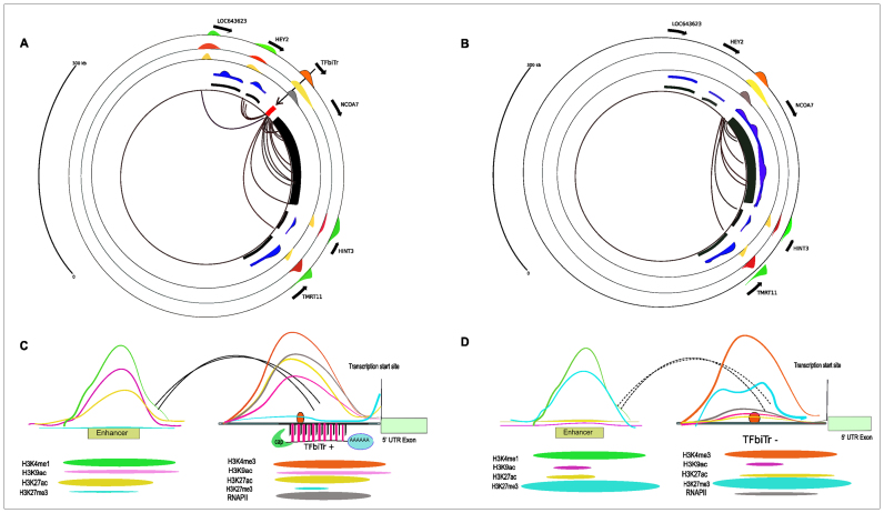 Figure 12.