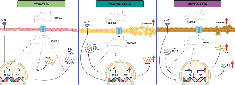 Figure 11