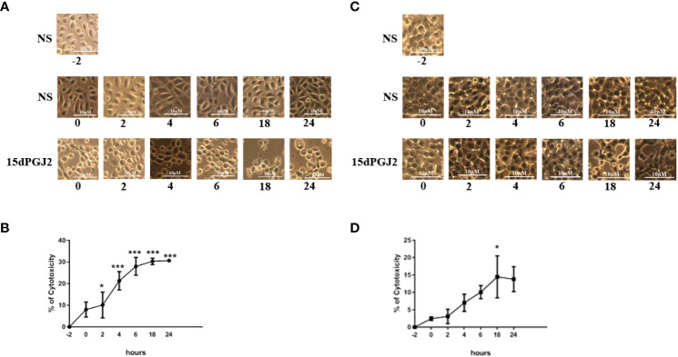 Figure 10